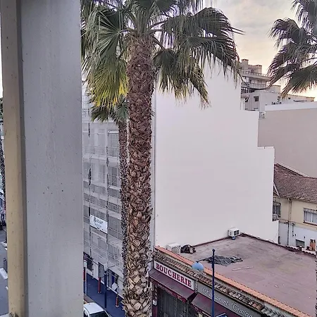 Graziella 409 * 주앙레핑